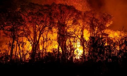 Dino homologa planos do governo para combate a incêndios no Pantanal e na Amazônia, mas pede ajustes