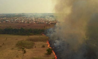 10 deputados e 4 senadores candidatos em 2024 tiram nota zero em votações na pauta ambiental
