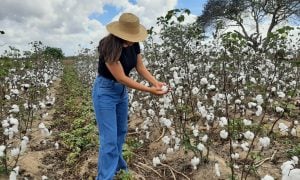 Na contramão da moda rápida: as técnicas que impulsionam a transição para a sustentabilidade no setor