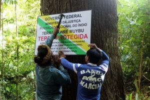 Lewandowski determina a demarcação de terra indígena Munduruku no Pará