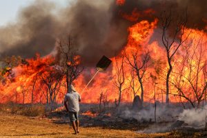 Ibama multa 242 pessoas por incêndios criminosos em 2024