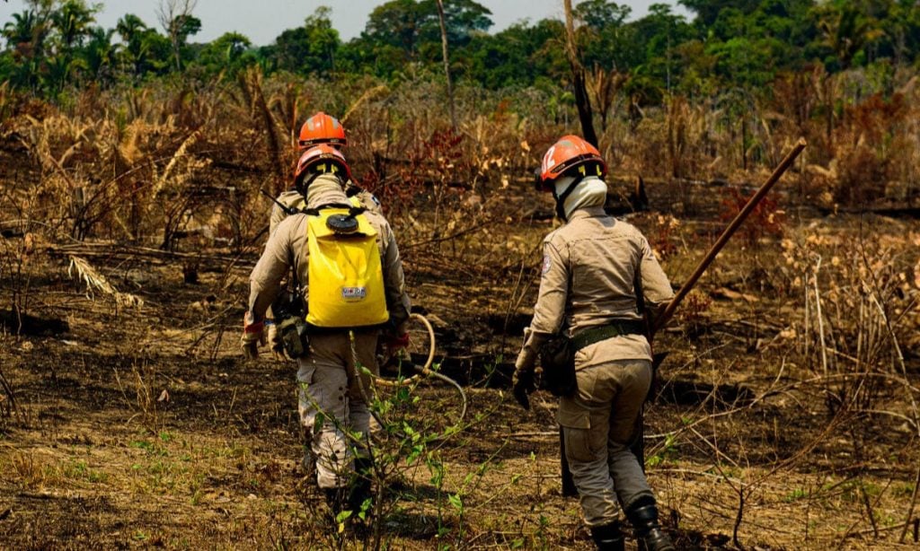 Fazenda palco de 'dia do fogo' em 2022 é hoje a que tem mais queimadas no Brasil