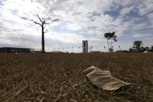 Oito estados e DF têm alerta de grande perigo para baixa umidade