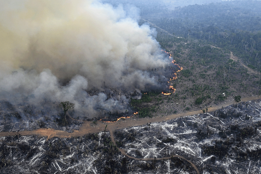 Federalismo climático
