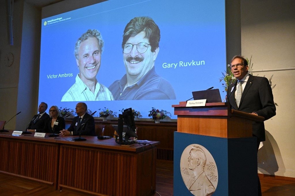 Dois americanos ganham Nobel de Medicina pela descoberta do microRNA