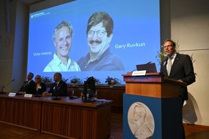 Dois americanos ganham Nobel de Medicina pela descoberta do microRNA