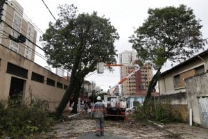 Mais de 200 mil clientes da Enel ainda estão sem energia em São Paulo