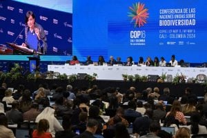 Negociações sobre biodiversidade na Colômbia 'trilham caminho' para COP30 no Brasil