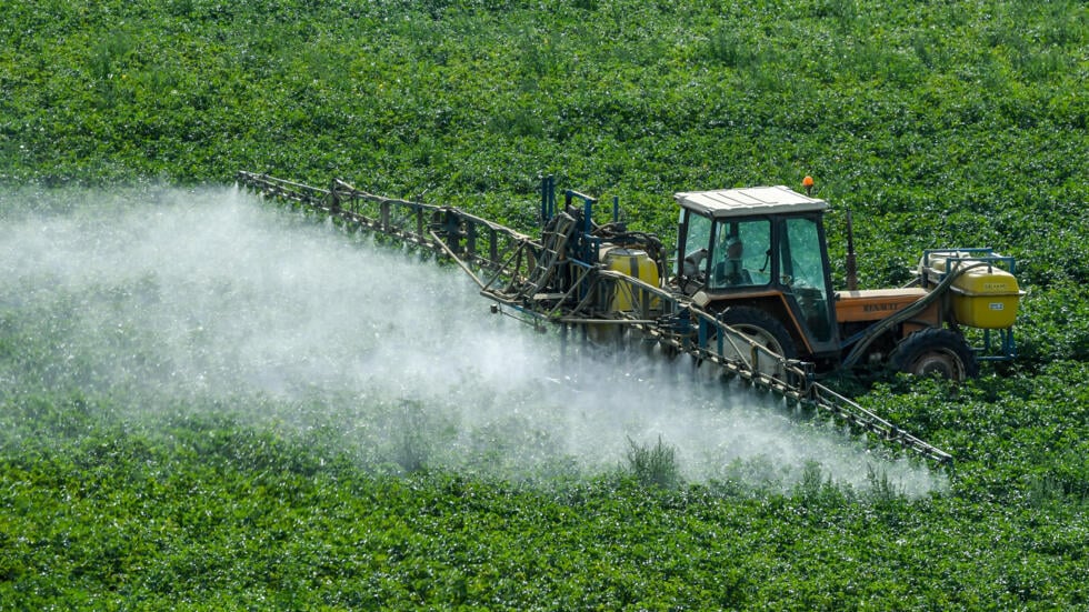 França: Agrotóxicos proibidos encontrados em crianças podem estar ligados à explosão de casos de câncer infantil