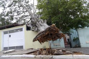 São Paulo ainda tem 338 mil clientes da Enel no escuro, 3 dias após chuva