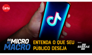 Saiba como utilizar o TikTok para alavancar o seu pequeno negócio