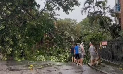Três pessoas morrem após chuva com fortes ventos atingir o RJ
