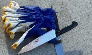 Duas pessoas morrem e outra fica gravemente ferida em ataques com faca em NY