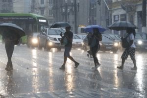 Oito horas após temporal, 250 mil clientes da Enel continuam sem luz em SP