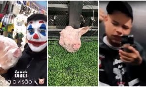 Polícia autua torcedores corintianos que arremessaram cabeça de porco no estádio