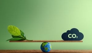 Conheça 5 Tendências ESG para 2025