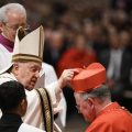 Papa Francisco nomeia brasileiro e outros 20 como cardeais