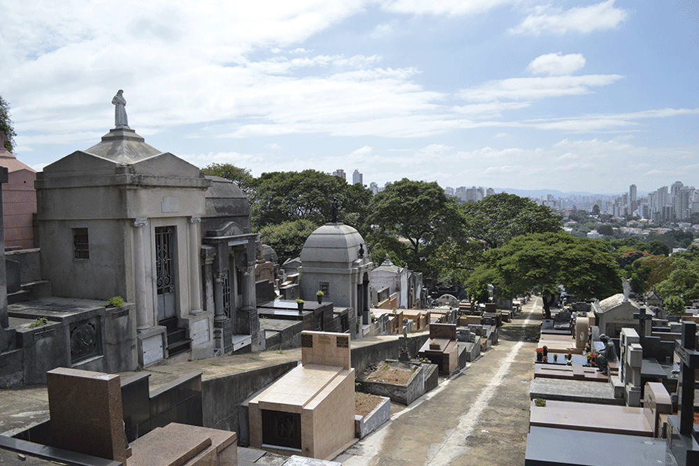 Memória insultada
