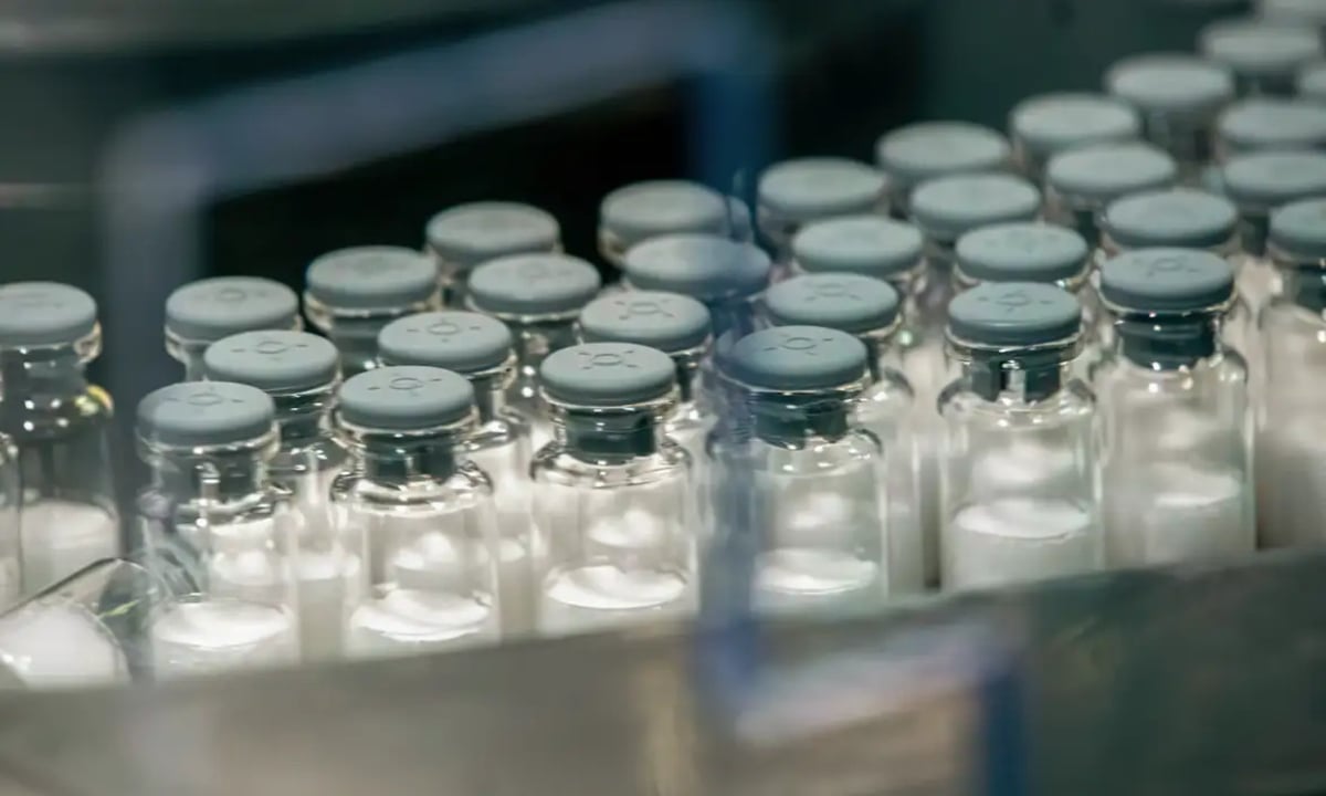 Butantan mantém estudo sobre vacina da dengue em i