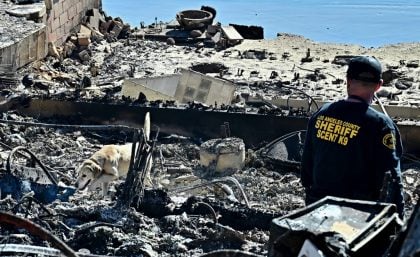 Incêndios em Los Angeles lançam dúvidas sobre realização dos Jogos de 2028