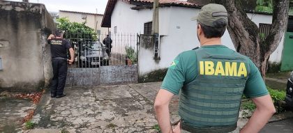 Operação de PF e Ibama apreende 33 animais em posse de traficantes