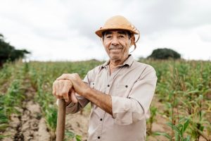 Nota Fiscal Eletrônica será obrigatória para produtores rurais; veja como se adequar