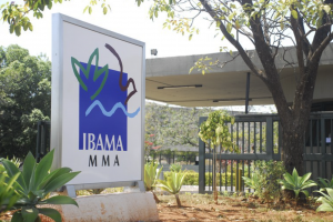 Servidores do Ibama condenam aprovação de plano da Petrobras na Foz do Amazonas: 'Decisão política'
