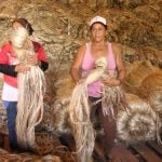 A obscura realidade por trás da produção de fibras naturais no Brasil