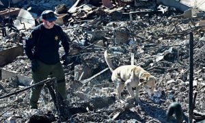 Socorristas buscam corpos antes de aumento do vento em Los Angeles