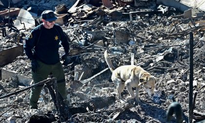 Socorristas buscam corpos antes de aumento do vento em Los Angeles