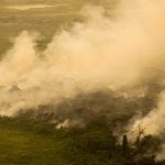 Pantanal é o bioma mais atingido pelo aumento da temperatura no País