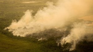 AGU cobra R$ 725 milhões de acusados de crimes ambientais no Pantanal