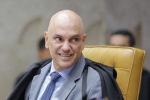 O STF em movimento