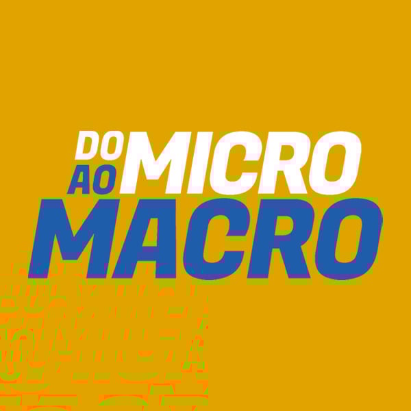 Do Micro ao Macro