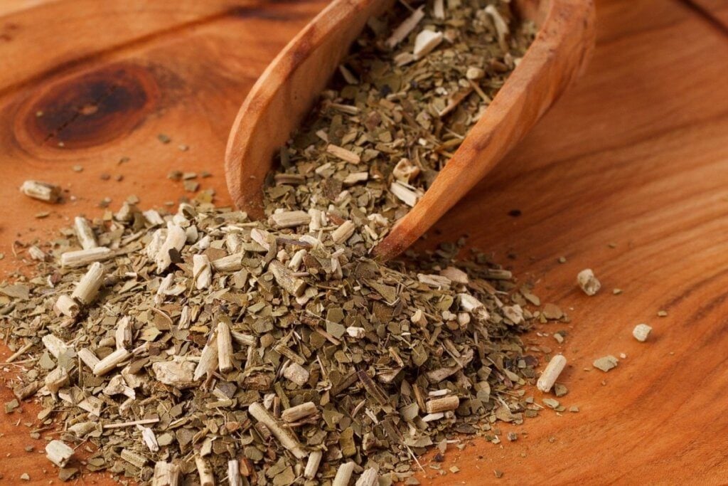 6 benefícios da erva-mate para a saúde e como usá-la