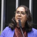 Duda Salabert denuncia tentativa de homicídio durante fiscalização em Minas