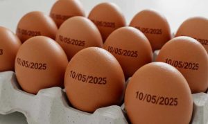 Ministério da Agricultura suspende obrigatoriedade de carimbar data de validade em ovos