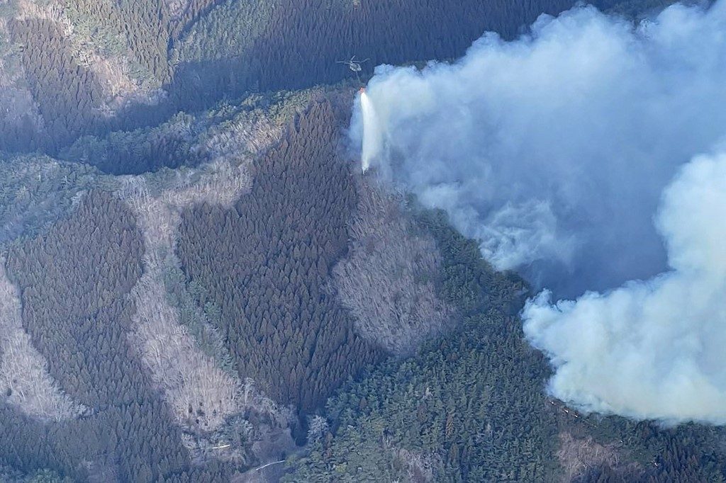 Pior incêndio florestal em meio século avança no Japão