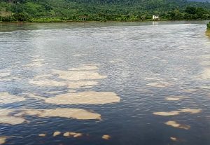 Vazamento de petróleo provoca emergência ambiental no Equador