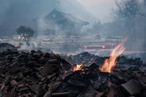 Incêndios florestais deixam 24 mortos na Coreia do Sul