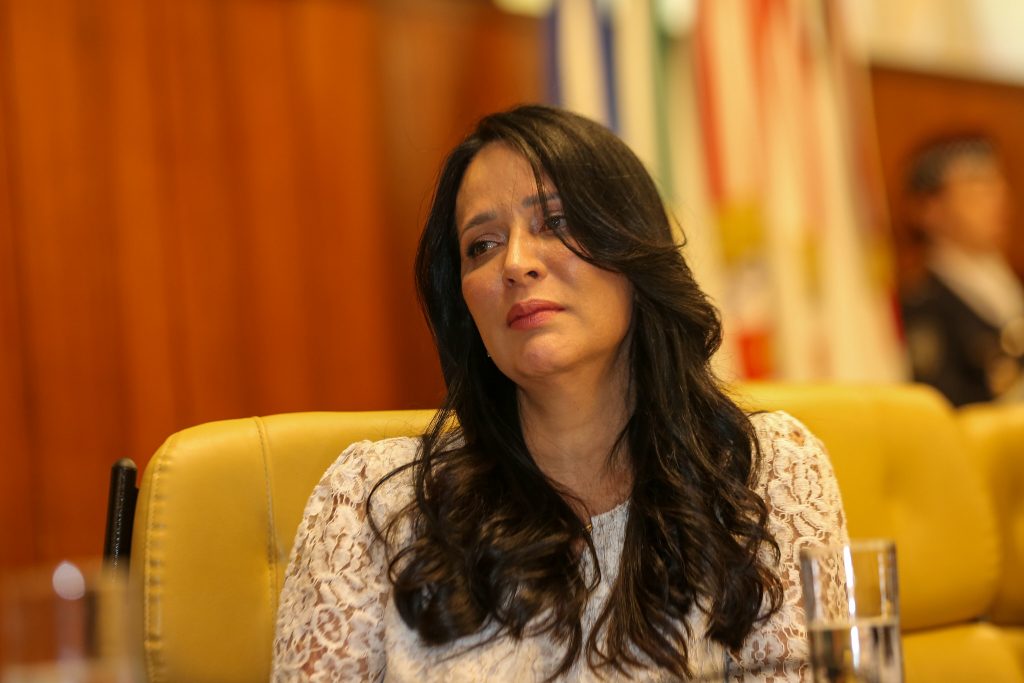 Esposa de Tarcísio recebe título de cidadã paulistana da Câmara de São Paulo