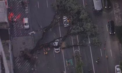 Taxista morre durante temporal em São Paulo; mais de 100 mil ficam sem luz