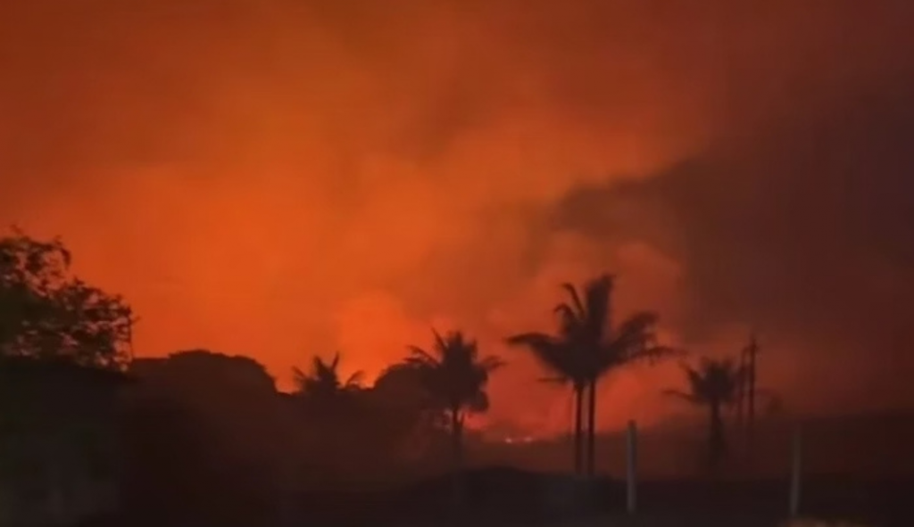 Incêndio florestal que atinge a Chapada Diamantina tem chamas de 5 metros