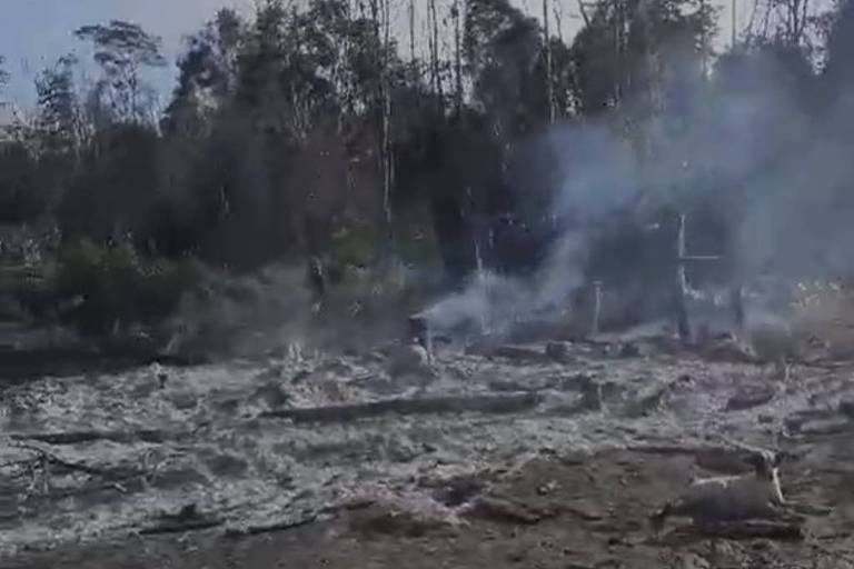 Encapuzados invadem assentamento, expulsam famílias e queimam casas no Pará