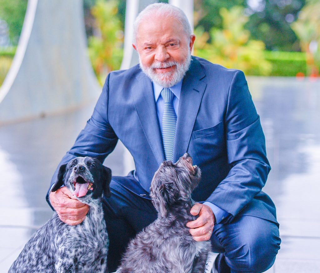 Governo Lula lança cadastro nacional para cães e gatos; entenda a iniciativa