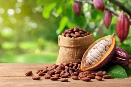 7 benefícios do cacau para a saúde e como consumi-lo