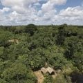 Mapbiomas: menor vegetação nativa expõe mais o país ao El Niño