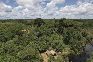 Mapbiomas: menor vegetação nativa expõe mais o país ao El Niño