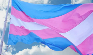Justiça suspende norma do CFM que limita tratamento de jovens trans