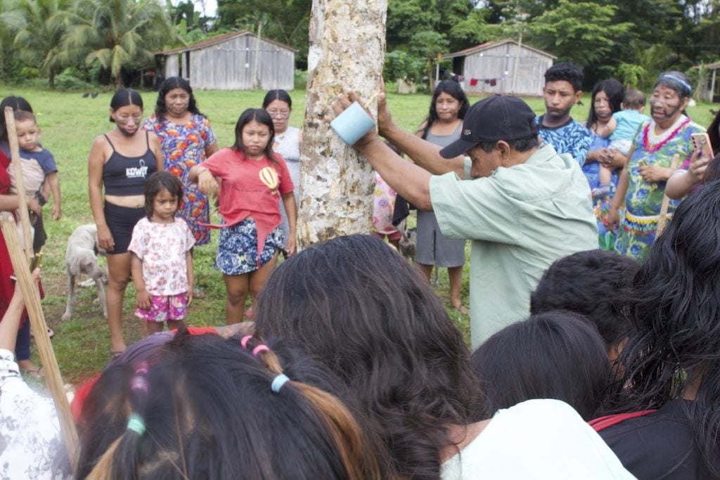 Ieipari, o ritual‑escudo dos Arara contra um novo ciclo de violência